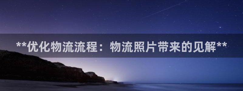 28圈电子游戏：**优化物流流程：物
