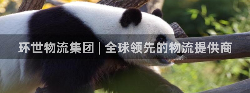 28圈连输10天：环世物流集团 | 