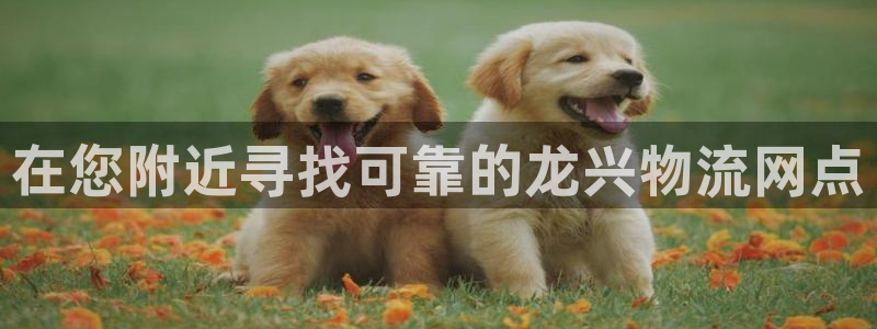 28圈加拿大：在您附近寻找可靠的龙兴