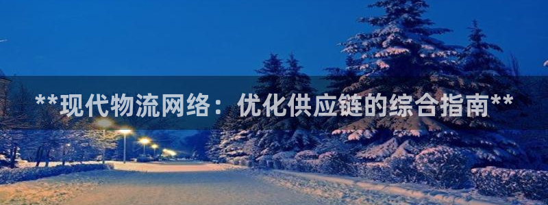 28圈加拿大技巧：**现代物流网络：