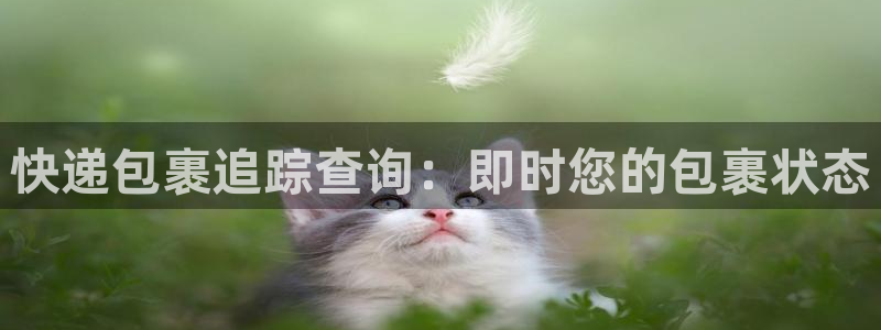 28圈自行车图片：快递包裹追踪查询：
