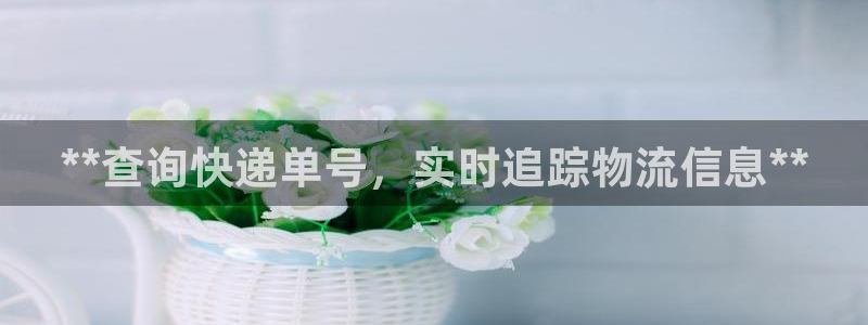 28圈预测加拿大：**查询快递单号，