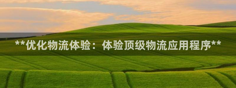 28圈模拟器：**优化物流体验：体验