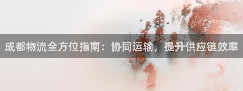 28圈娱乐官网网页下载：成都物流全方