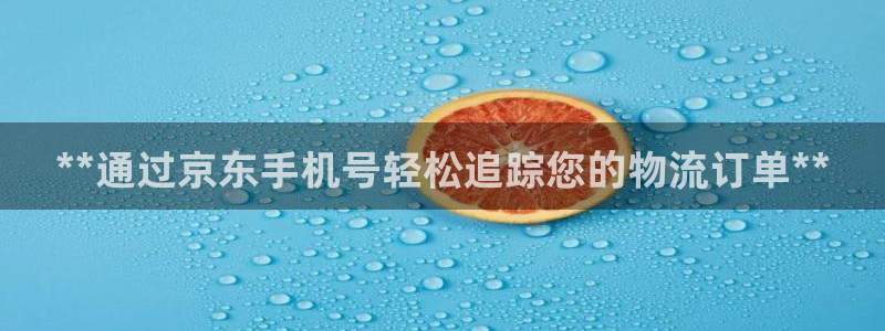 加拿大28圈数字规则：**通过京东手