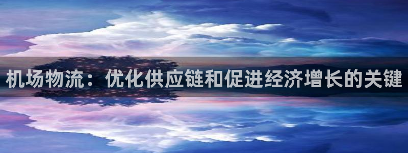 28圈登录流程：机场物流：优化供应链
