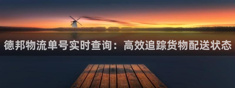 自行车28圈是什么意思：德邦物流单号