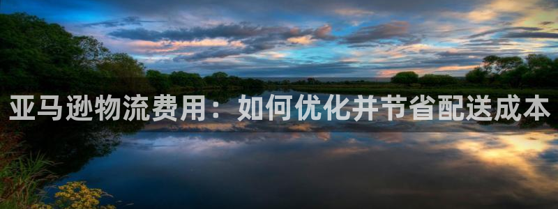 28圈登录网：亚马逊物流费用：如何优化并节省配送成本