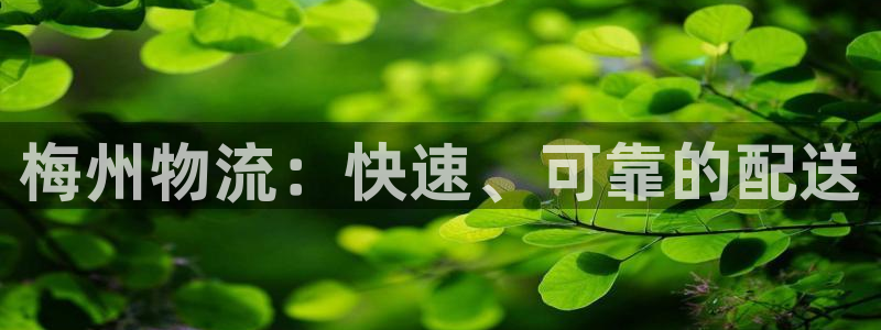 28圈app官网少林足球：梅州物流：