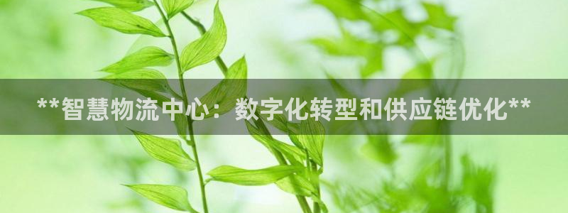 28圈取保：**智慧物流中心：数字化