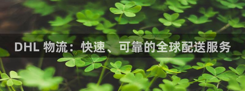 28圈官网版2024：DHL 物流：