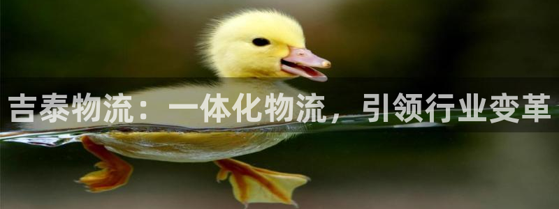 28圈如何看计划：吉泰物流：一体化物