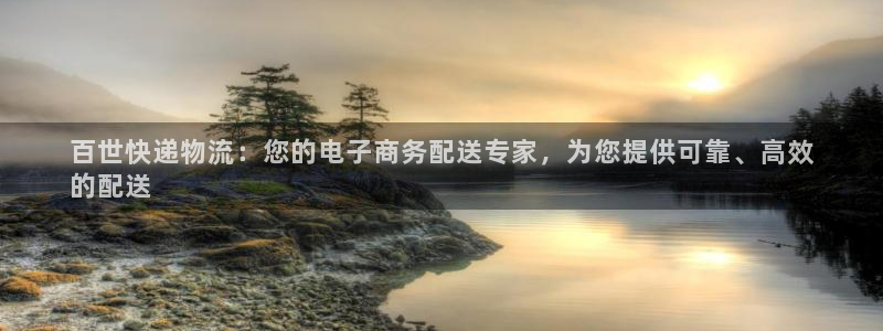 28圈电子：百世快递物流：您的电子商