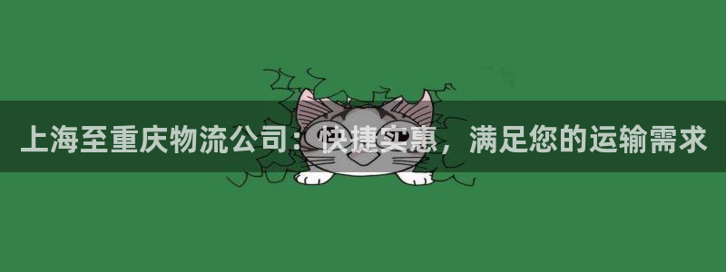 南宫28圈怎么注册：上海至重庆物流公