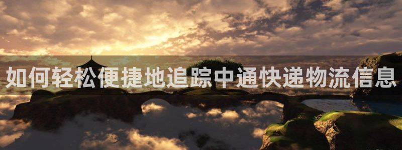 28圈能退款吗：如何轻松便捷地追踪中