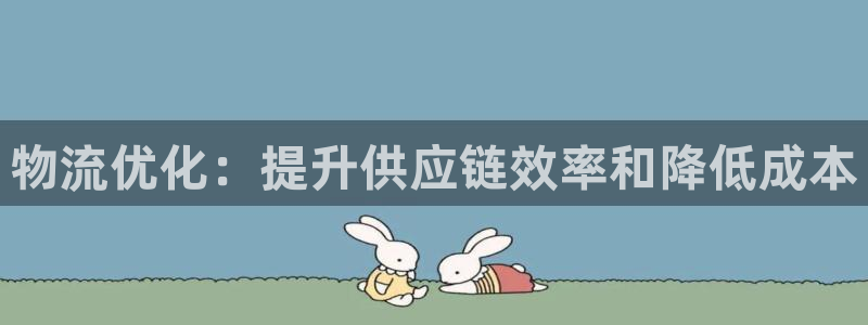 南宫28圈官网：物流优化：提升供应链