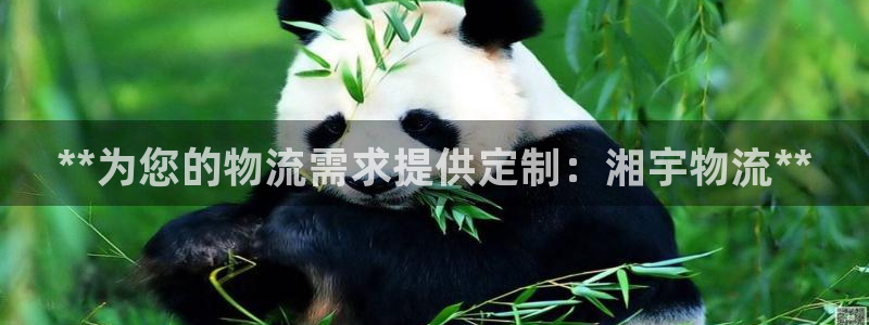 28圈官方网站预测：**为您的物流需