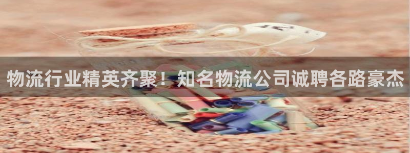 28圈稳吗：物流行业精英齐聚！知名物流公司诚聘各路豪杰