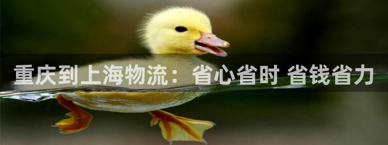 28圈注册教程：重庆到上海物流：省心