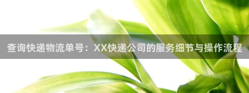 28圈如何看012路计划