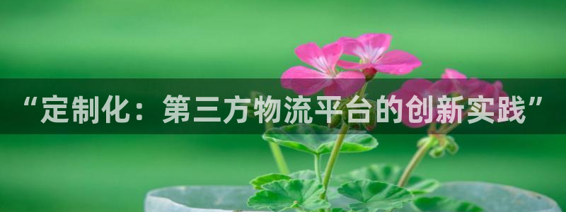 28圈网站平台