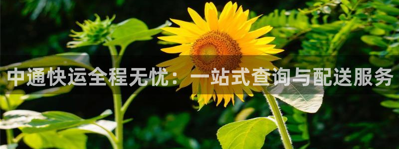 28圈返水怎么算的