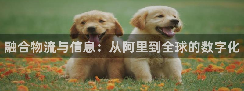 28圈可靠吗