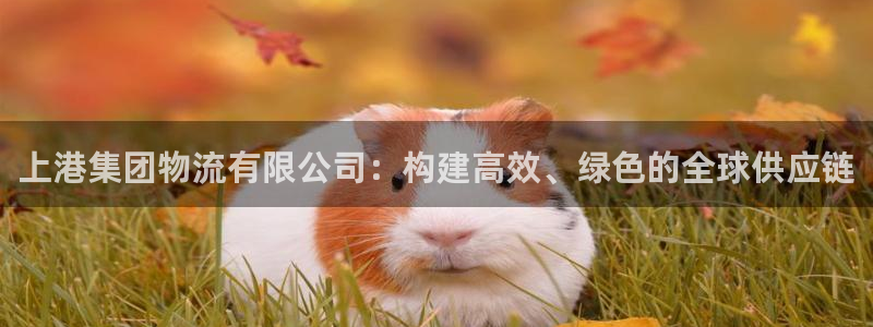 28圈游戏最新版