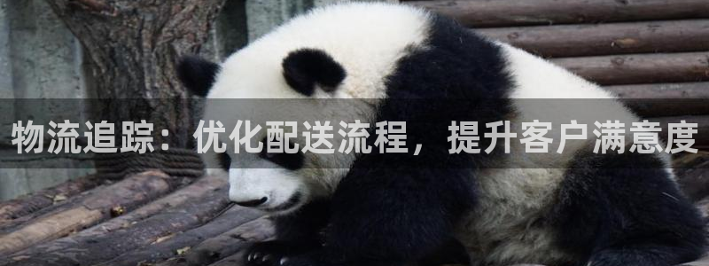 加拿大28圈数字规则